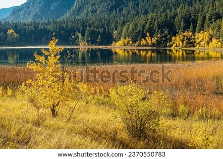 Early morning mist hangs over autumn foliage around Turquoise Lake at Marble Canyon Provincial Park in British Columbia, Canada
