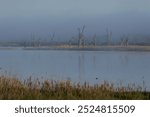 Early morning mist over Hart