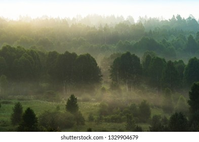 Early Morning Mist over Trees at Altai Mountains, Kazakhstan. Sun Glow. Fantasyland, Blue Hour Concept