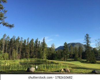 Early Morning In The Mountains With Bright Blue Sky. Mountain Resort With Green Lawn, Small Spring, Log Cabin In Woods, Buses Parked At Distance Near Resort Office. No People. Tourism Industry Concept