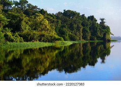 Early Morning On The Dense, Rainforest-lined Guaporé-Itenez River, Near The Remote Village Of Remanso, Beni Department, Bolivia, On The Border With Rondonia State, Brazil