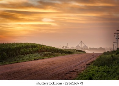 Early morning on a dirt road, with hills and cornfields, near Seward, Nebraska.