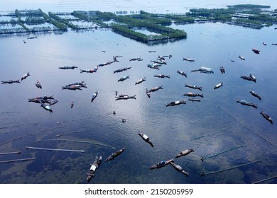 Early Morning On Quang Loi Lagoon, Thua Thien Hue Province, Vietnam