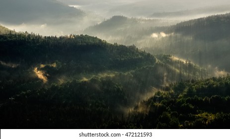 Early in the morning, an overview of the valley as the sun rises and its golden rays illuminate the fog from the forest. Gaspesie National Park, Mont Albert trail, Quebec, Canada