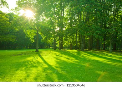 Sunrise Beam Beautiful Park Stock Photo 1007648908 | Shutterstock