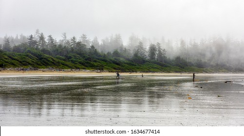 An early morning shot of a foggy beach in Tofino Canada