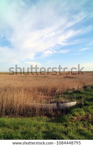 Similar – a tideway leads through the blooming salt marshes on Hallig Gröde