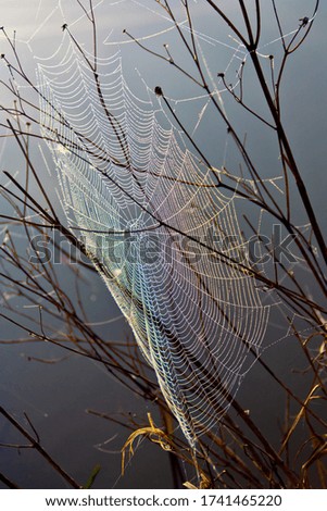 Similar – Foto Bild Nach dem Regen Winter