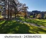 Early morning sun in fall. Duke University Law School. View from Gross Hall