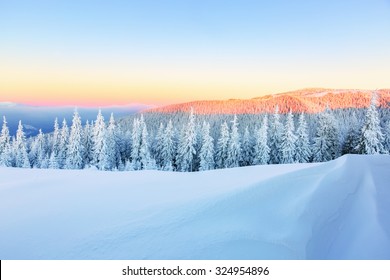  Early morning sunbeam shelter sky and forest covered with snow, drawing the way for adventurous extreme traveler - Powered by Shutterstock