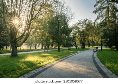 Early morning sunlight filters through trees in a public park with a winding pathway - Powered by Shutterstock