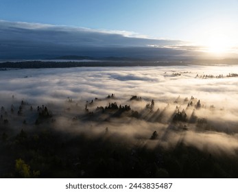 Early morning sunlight illuminates fog that has settled in the Willamette Valley in northern Oregon, not far south of Portland. The entire Pacific Northwest is known for its moist, temperate climate. - Powered by Shutterstock