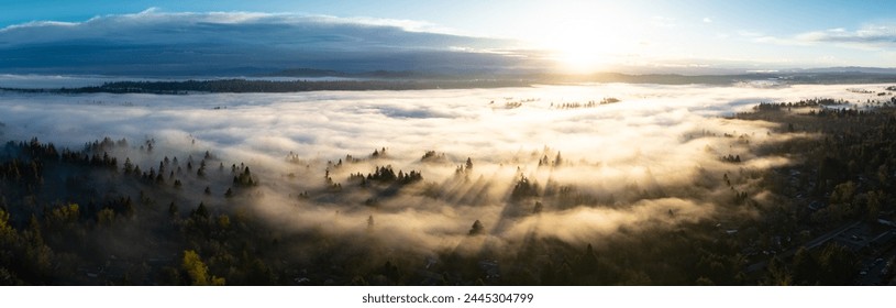 Early morning sunlight illuminates fog that has settled in the Willamette Valley in northern Oregon, not far south of Portland. The entire Pacific Northwest is known for its moist, temperate climate. - Powered by Shutterstock