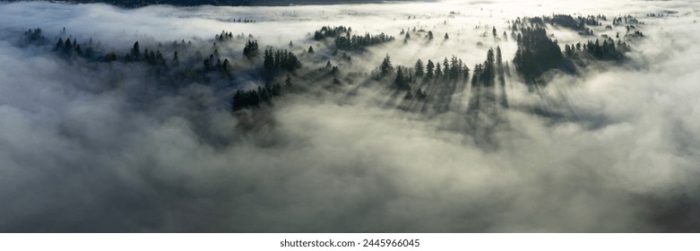 Early morning sunlight illuminates fog that has settled in the Willamette Valley in northern Oregon, not far south of Portland. The entire Pacific Northwest is known for its moist, temperate climate. - Powered by Shutterstock