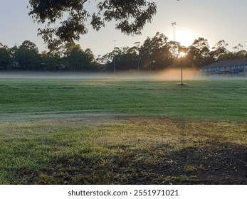 Early morning sunrise on dewy grass - Powered by Shutterstock