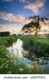 Early Morning Sunrise Over Small River With Backlit Tree On A Summer Day