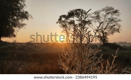 A early morning sunrise of winter season in a village.