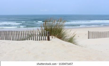 Early morning at Vagueira Beach with sea oats and dune fence in Aveiro, Portugal