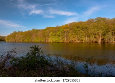 Early Signs Of Spring In Rockefeller State Park Preserve, New York, USA