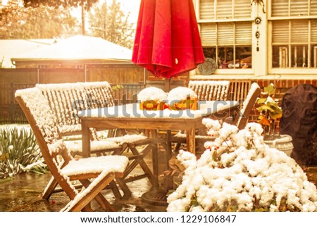Early snow - outdoor table and chairs with two jack o lanterns and a sun umbrella on a patio during a snow shower with house windows and urban neighborhood yard in background 