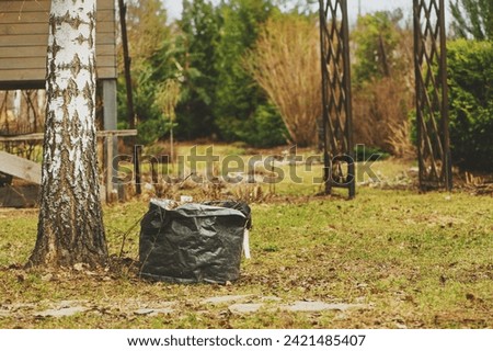 early spring cleaning in garden. Raking leaves. Composting in bags. Seasonal yardwork.