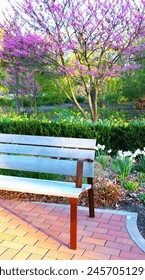 Early spring garden bench with Eastern redbud