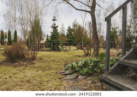 early spring garden view with conifers and shrubs. Seasonal garden work
