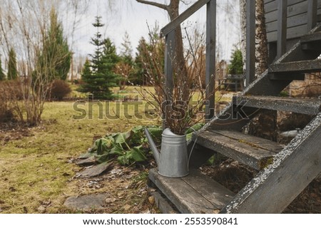 Similar – Image, Stock Photo Early spring garden view with group of blue muscari (grape hyacinth) blooming