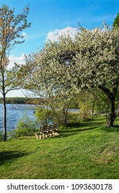 Early Spring At Lackawanna State Park In Northeastern Pennsylvania