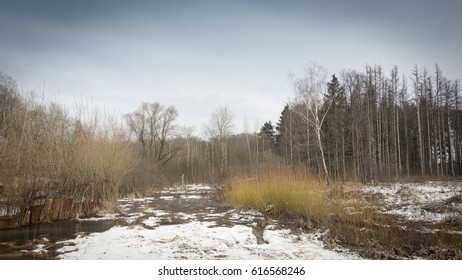 Early spring landscape
