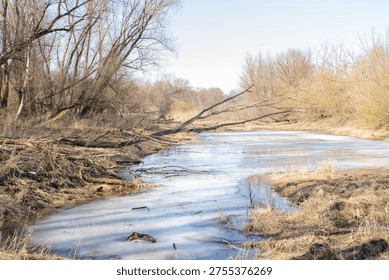 Early spring landscape with river and leafless trees
