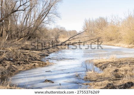 Early spring landscape with river and leafless trees