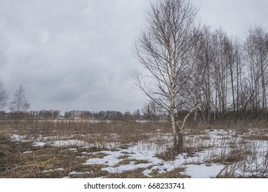 Early spring with the last snow. Brest region, Belarus. - Shutterstock ID 668233741