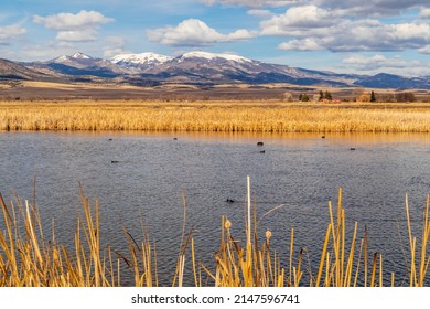 Early Spring in Monte Vista National Wildlife Refuge, Southern Colorado - Shutterstock ID 2147596741