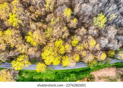 early spring in the neighbourhood scenes - Shutterstock ID 2276282601