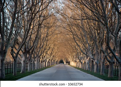 Early Spring On Entry Road To Ranch