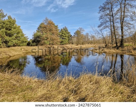 Early spring on the small Grabia river, Poland.