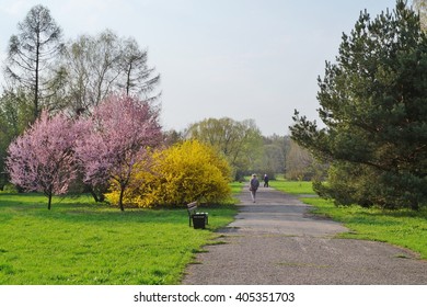 Early Spring In The Spring Park. Spring Walking