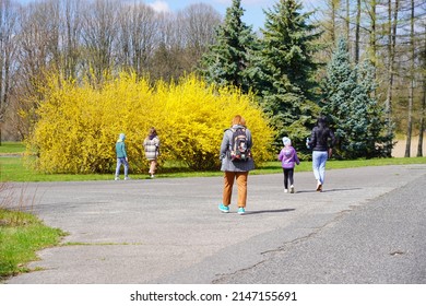  Early Spring - People On A Spring Walk. Sunday Rest. Beautiful Green Areas Of The City Of City.