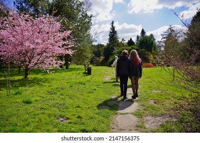  Early Spring - People On A Spring Walk. Sunday Rest. Beautiful Green Areas Of The City Of City.