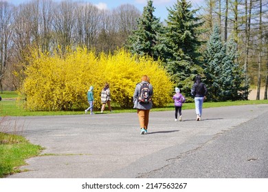  Early Spring - People On A Spring Walk. Sunday Rest. Beautiful Green Areas Of The City Of City.