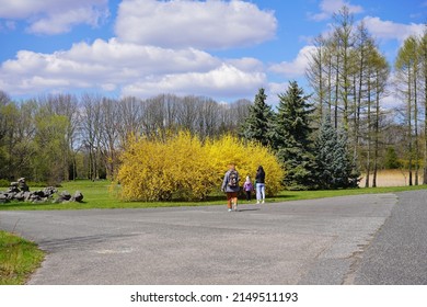  Early Spring - People On A Spring Walk. Sunday Rest. Beautiful Green Areas Of The City Of City.