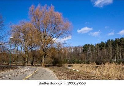 Early Spring Road In The Park On A Sunny Day