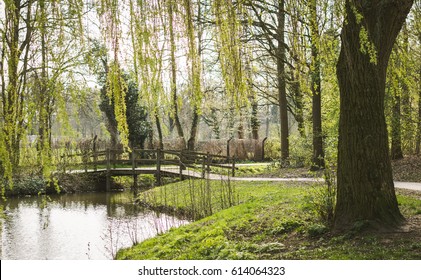 Early spring scene with in the front a weeping willow and a pond. In the back a romantic wooden bridge. 