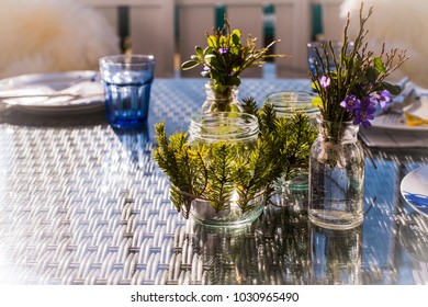 early spring shoot 