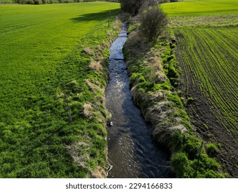 early sprouting trees and blooming cherries controls agricultural activity and grain quality. ruts from a tractor and counting the condition of game in the forest using a drone flying above the ground
