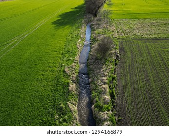 early sprouting trees and blooming cherries controls agricultural activity and grain quality. ruts from a tractor and counting the condition of game in the forest using a drone flying above the ground - Powered by Shutterstock