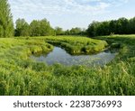 An early summer morning by a lush river bank in Estonia, Northern Europe