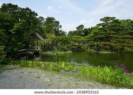 Early summer scenery around the pond in Umenomiya Taisha Shrine Garden