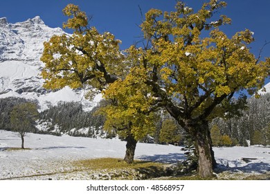 Early winter